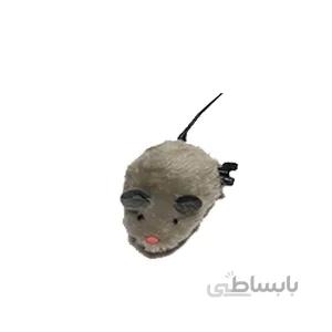 موش کوکی