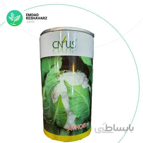 بذر گل کلم هیبرید رقم اتوس (ATHOS F1) چین