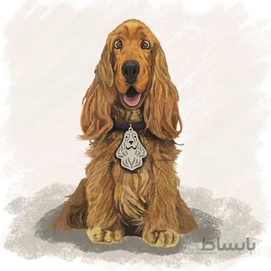 اویز قلاده استیل طرح سگ نژاد 16 کد CD 16 ا Steel Tag Dog Breed Model CD-16
