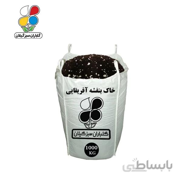 خاک بنفشه آفریقایی عمده 1000 کیلویی