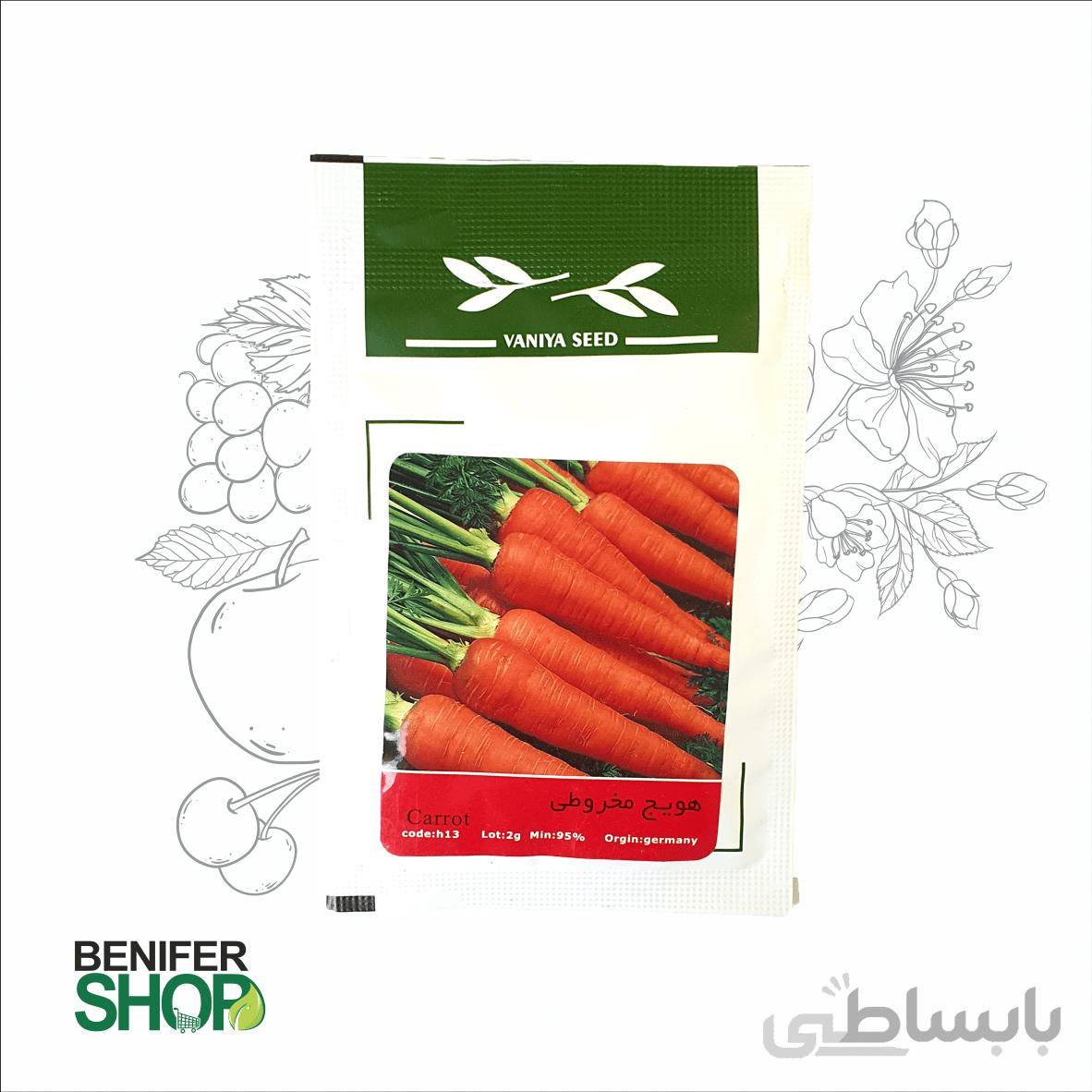 بذر خانگی هویج مخروطی آذر سبزینه