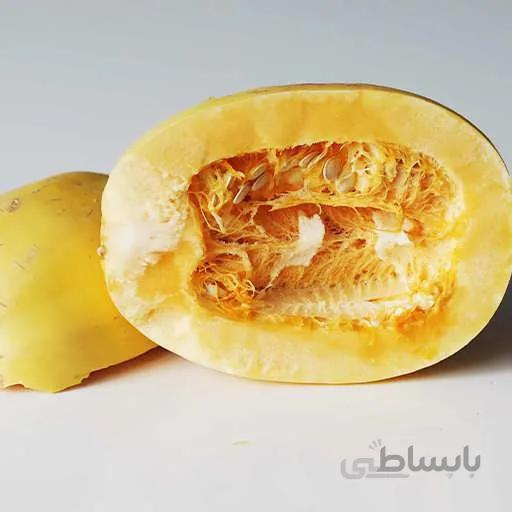 بذر کدو اسپاگتی