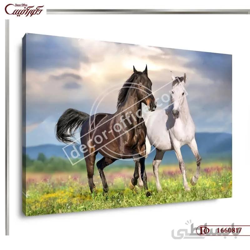 تابلو دیواری اسب 0817 ا Horse wall painting 0817