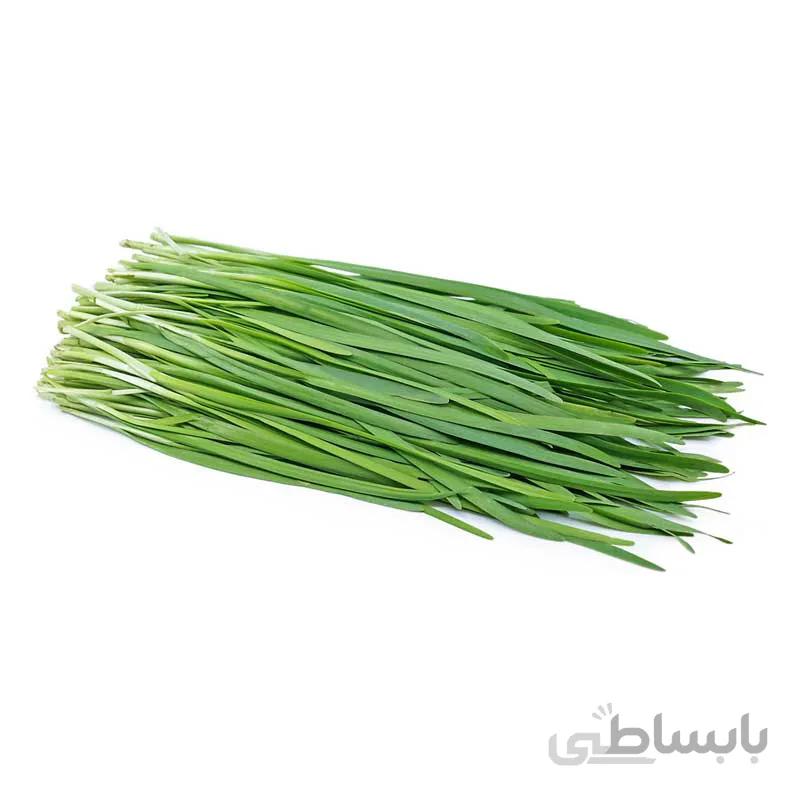 بذر تره