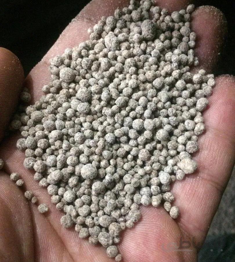 کود مخصوص بلوبری بسته 50 گرمی