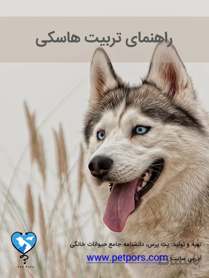 کتاب تربیت سگ هاسکی