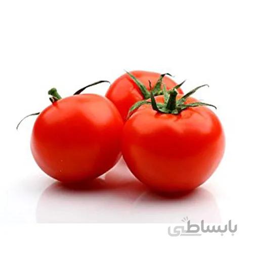 بذر گوجه فرنگی بوته هیبرید F1
