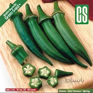بذر بامیه