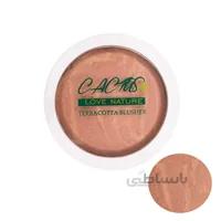 رژگونه تراکوتا کاکتوس شماره 46