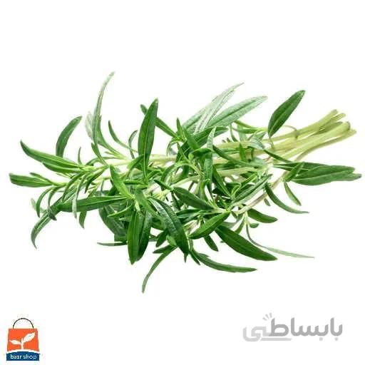 بذر مرزه کد 360913