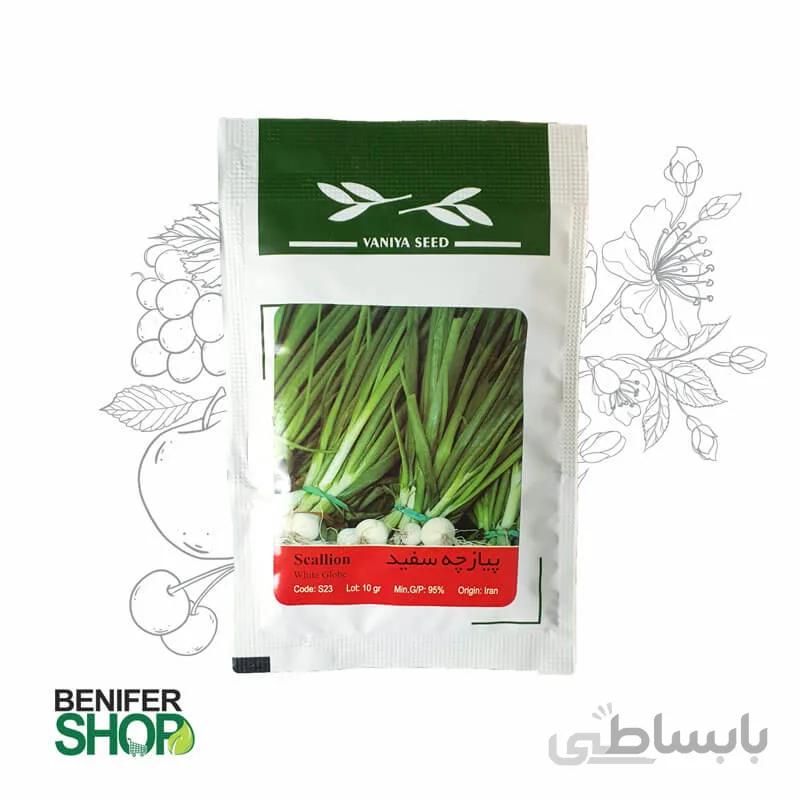 پیازچه