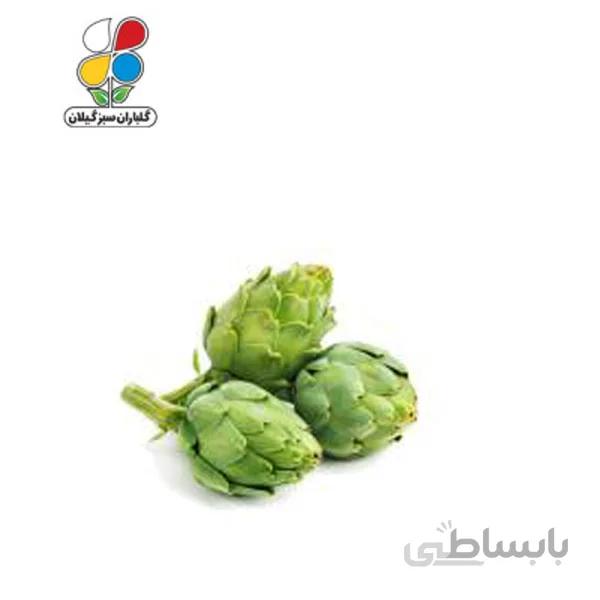 بذر کنگر فرنگی بسته بندی بزرگ مدل GPSV7L
