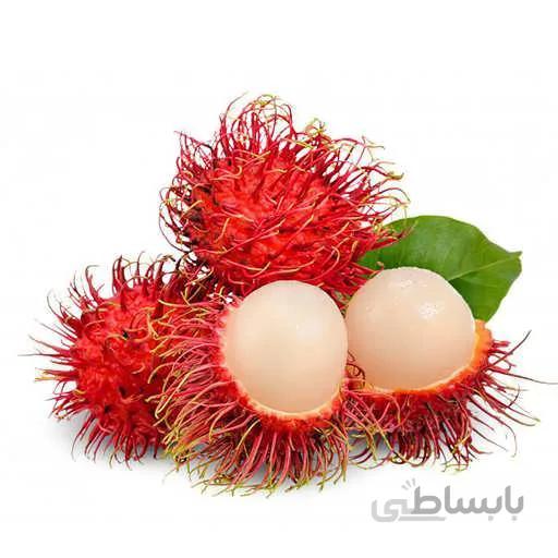 بذر درخت رامبوتان