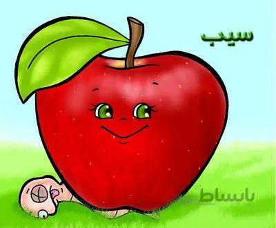 سیب(میوه ها)
