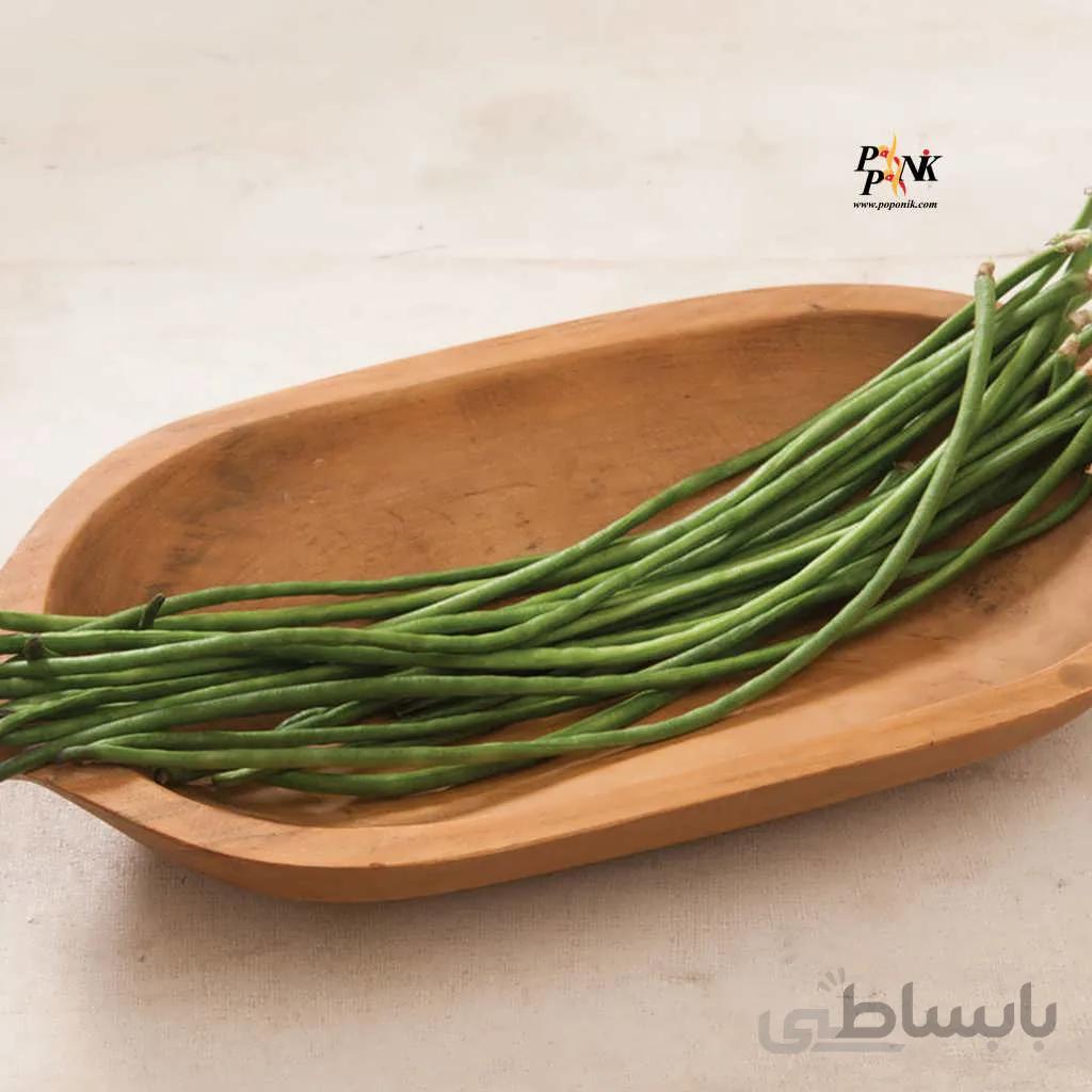 بذر لوبیا سبز بلند گیتا