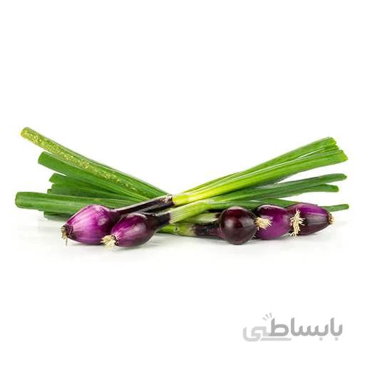 بذر پیازچه قرمز
