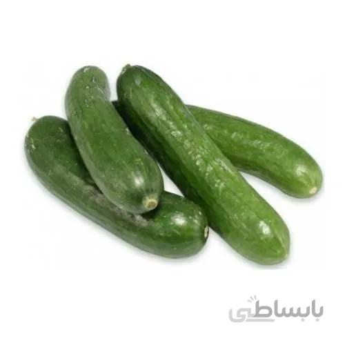 بذر خیار بوته ای