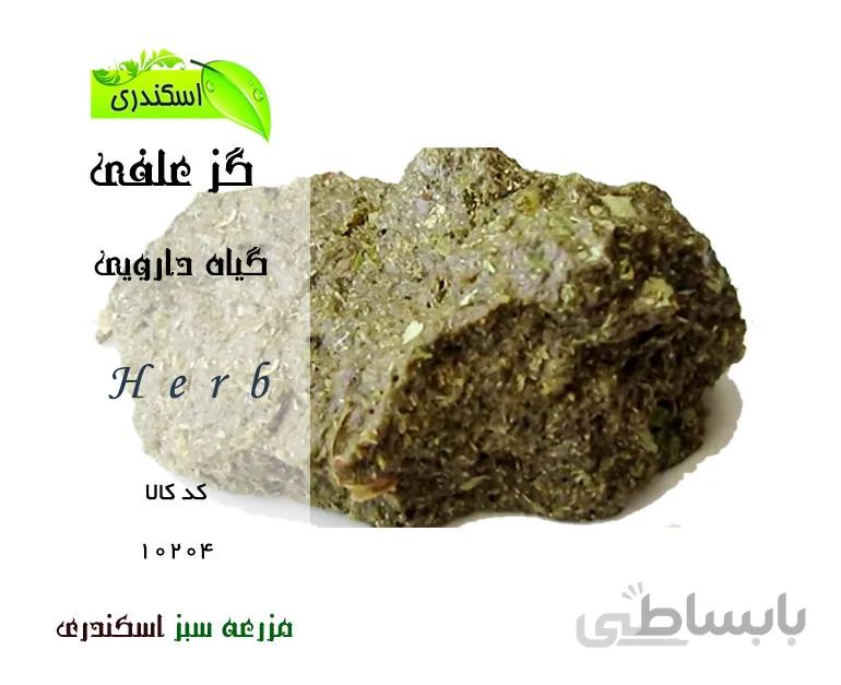 گز علفی