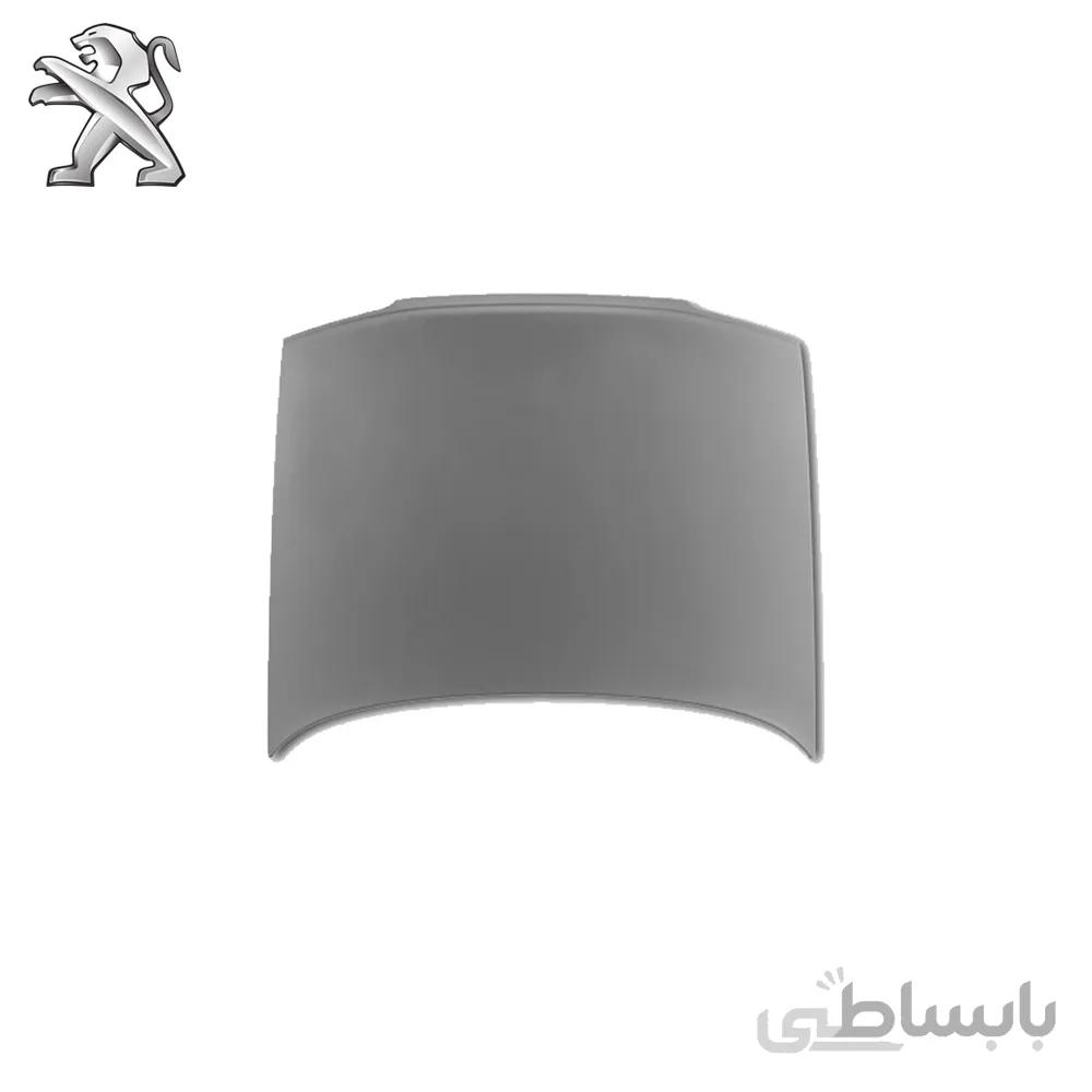 درب موتور پژو RD