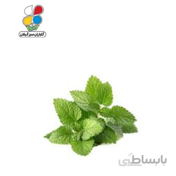 بذر بادرنجبویه بسته 3 عددی مدل GPSH7L