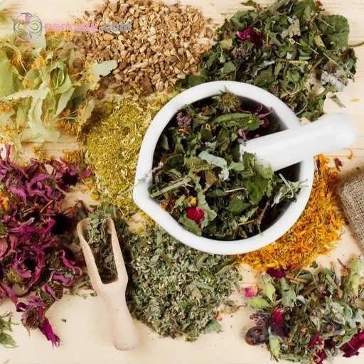 مجموعه بذر گیاهان دارویی کامل