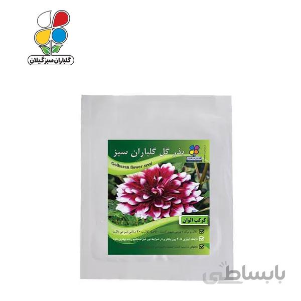 ( بسته 20 عددی ) بذر گل کوکب الوان بسته بندی کوچک