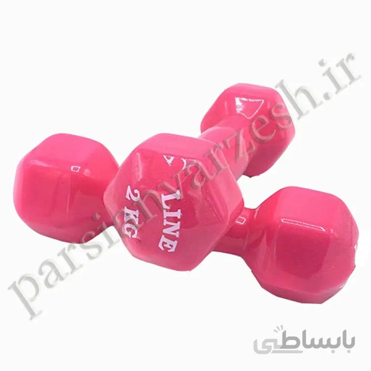 دمبل بانوان 2 کیلوگرم