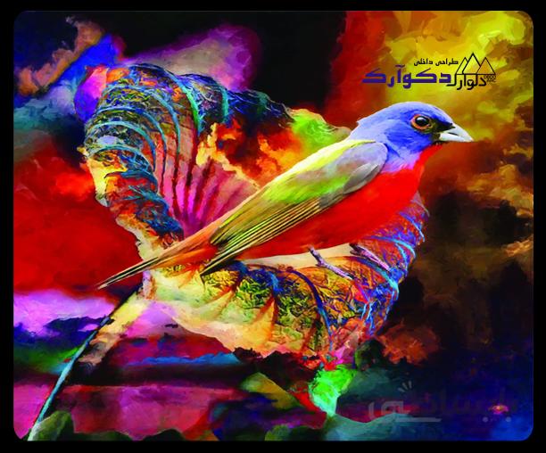 پوسترحیوانات005