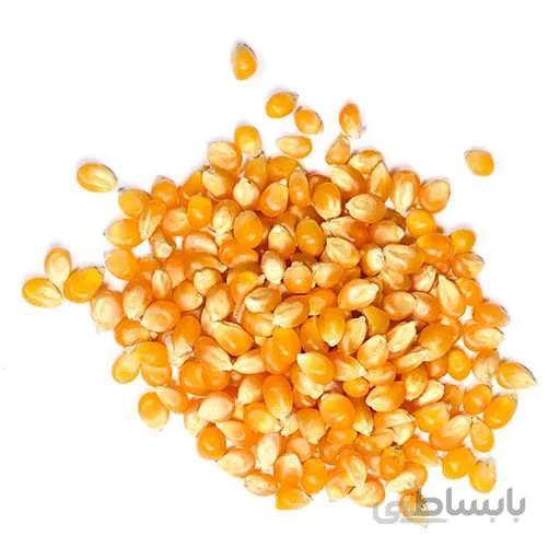 بذر ذرت زرد پاپ کورنی
