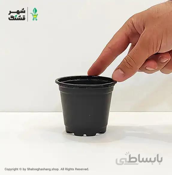گلدان ژله ای سایز 8 (بسته 20 عددی)