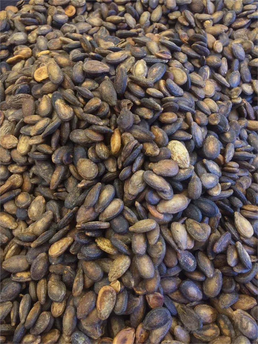 تخمه سياه يزدي(بسته 150 گرمی) ا تخمه سياه يزدي(بسته 150 گرمی)