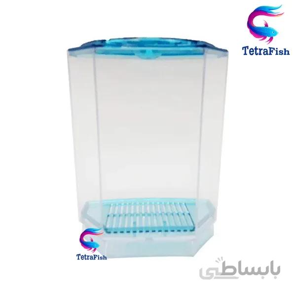 تنگ ماهی فایتر