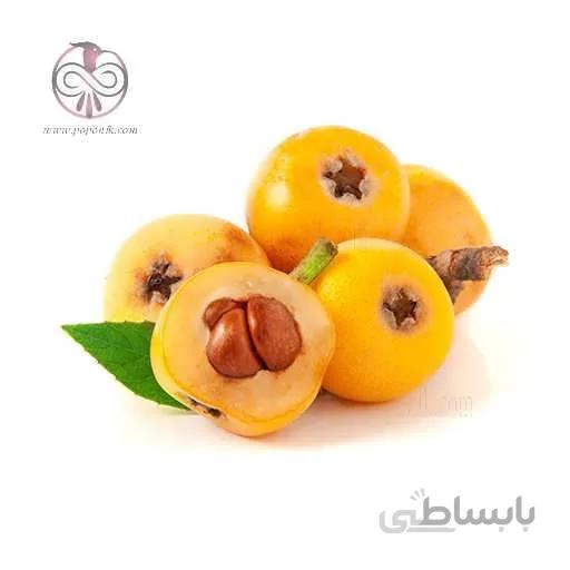 نهال ازگیل ژاپنی