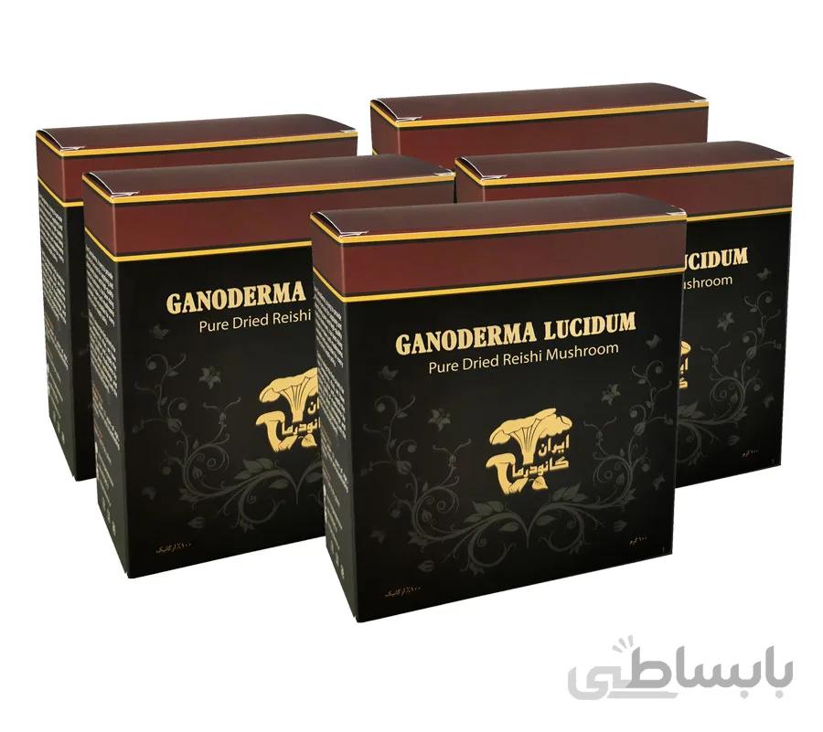 پودر قارچ گانودرما – بسته ۵۰۰ گرمی