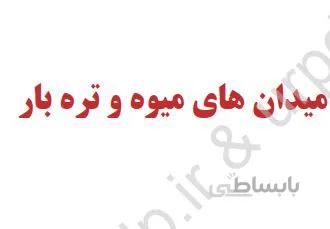 میدان هاي میوه و تره بار (تاسیسات و زیر ساخت های شهری)