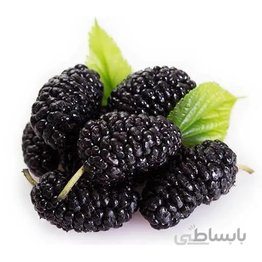 بذر توت سیاه