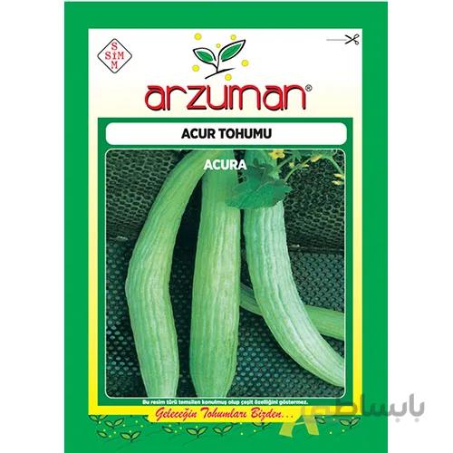 بذر خیار چنبر آرزومان