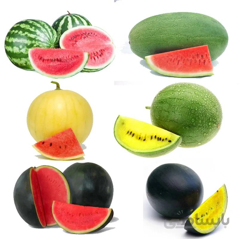 بذر هندوانه میکس