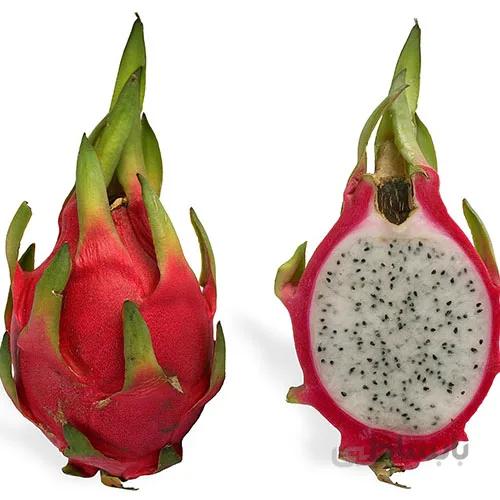 بذر میوه اژدها