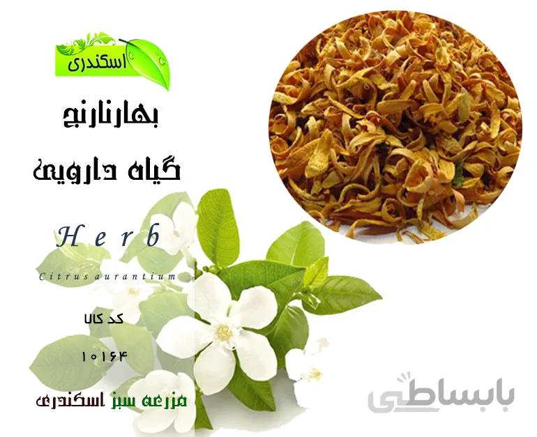 گیاه بهارنارنج