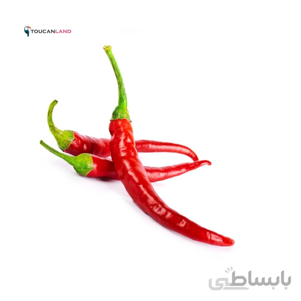 بذر فلفل تند چیلی