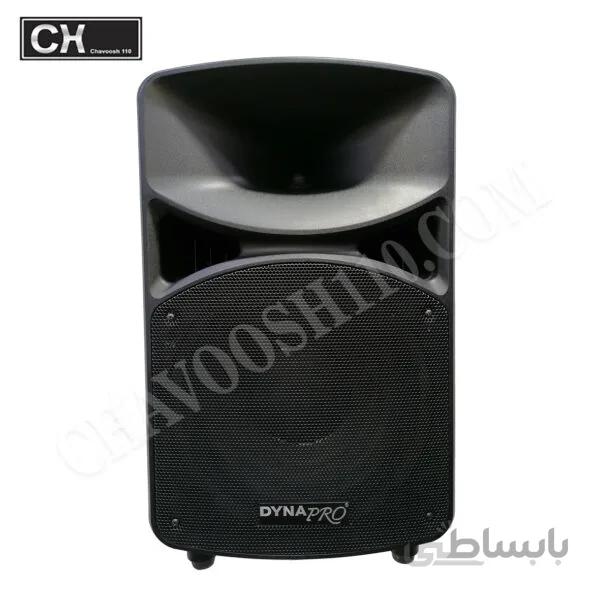 باند پسیو DYNA PRO مدل PRO S1200 اصلی ا باند پسیو DYNA PRO مدل PRO S1200