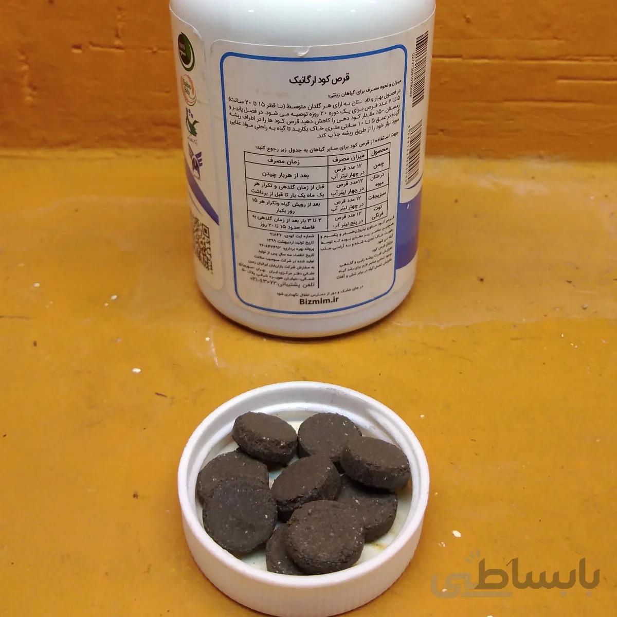 کاکتوس صخره ای