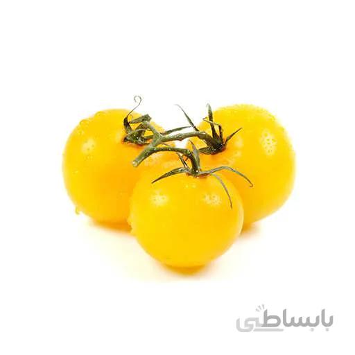 بذر گوجه فرنگی زرد بوته ای