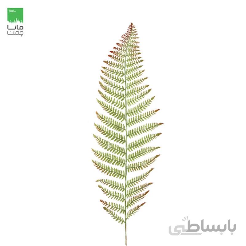 گیاه مصنوعی مدل سرخس سایز بزرگ دو رنگ – بسته 10 عددی