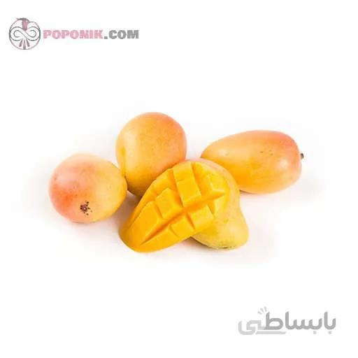 بذر بیبی انبه