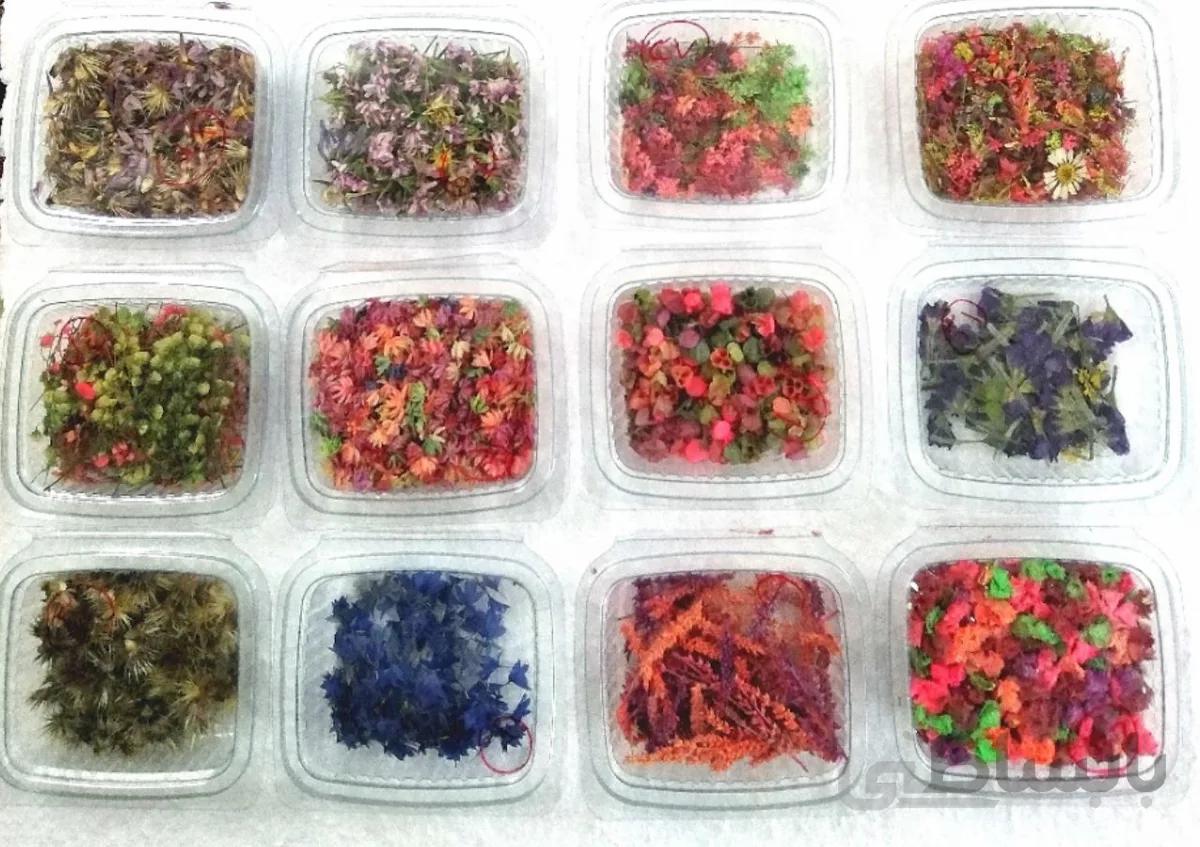 پک گل خشک 1200 تایی