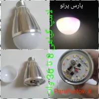 لامپ گیاهی
