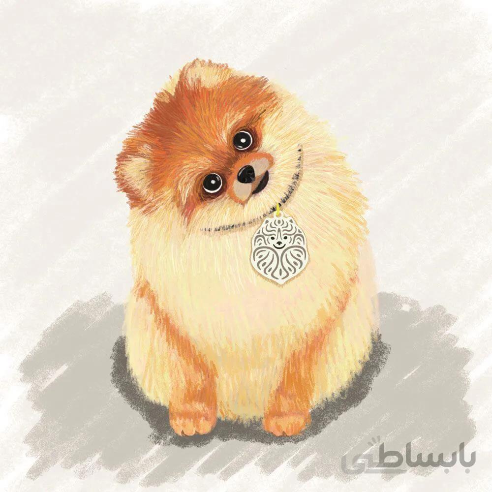 اویز قلاده استیل طرح سگ نژاد 7 کد CD 07 ا Steel Tag Dog Breed 7 Model CD-07