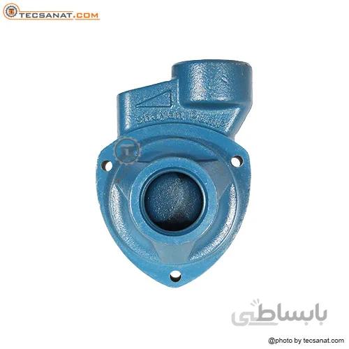 سر پمپ پدرولو 0.5 اسب مدل PK60